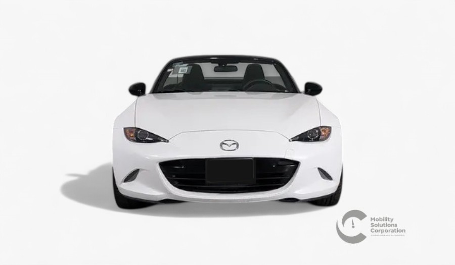 Auto 1